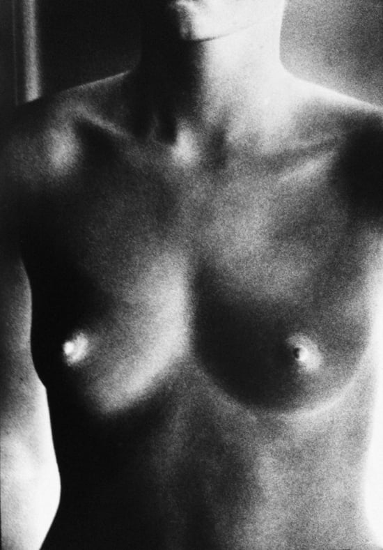 Gibson, Ralph | Nude / Negative (from In Situ), 1989 — available on Composition Gallery