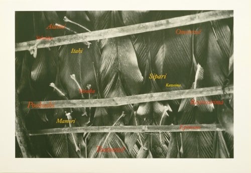 Baumgarten, Lothar | Untitled (Fish), 1985 — available on Composition Gallery
