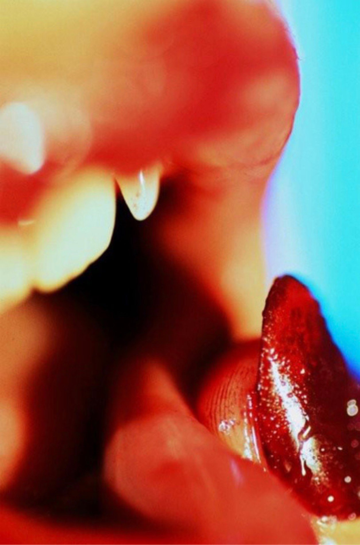 Minter, Marilyn | Vamp, 2011 — available on Composition Gallery