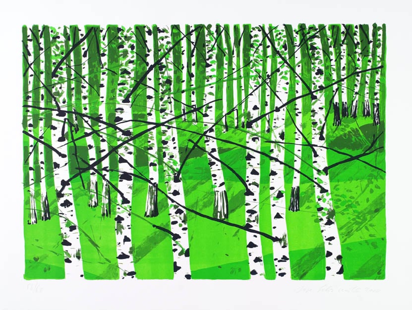 Müller, Josef Felix | Birkenwaldchen, 2004 — available on Composition Gallery