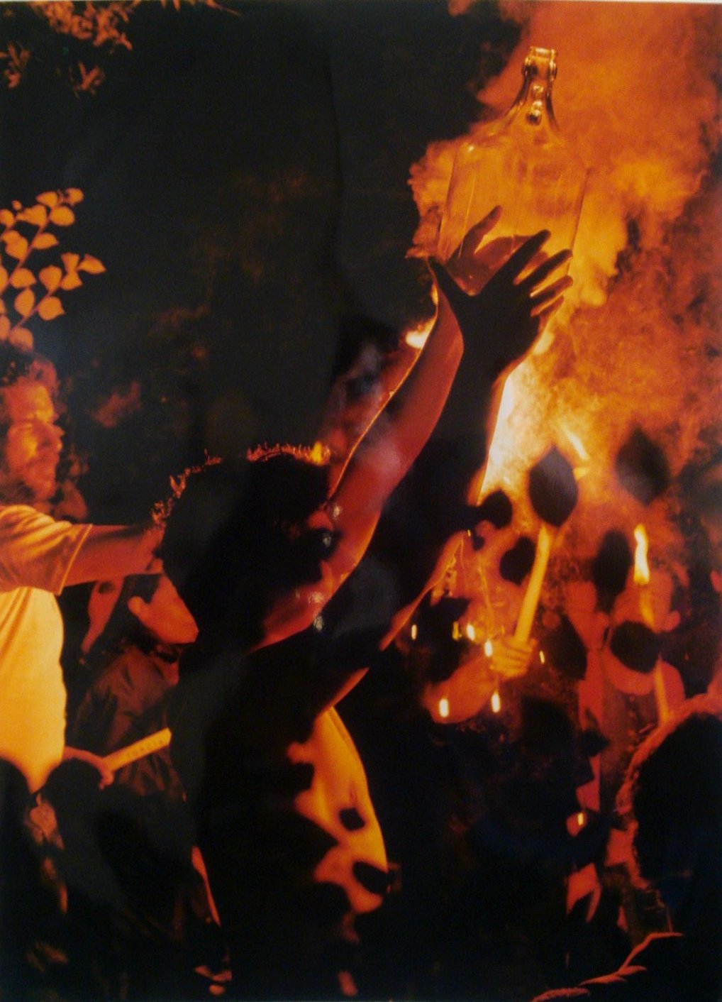 Nitsch, Hermann | 96 Aktion – Giardini San Martino, Napoli, R, 1996 — available on Composition Gallery