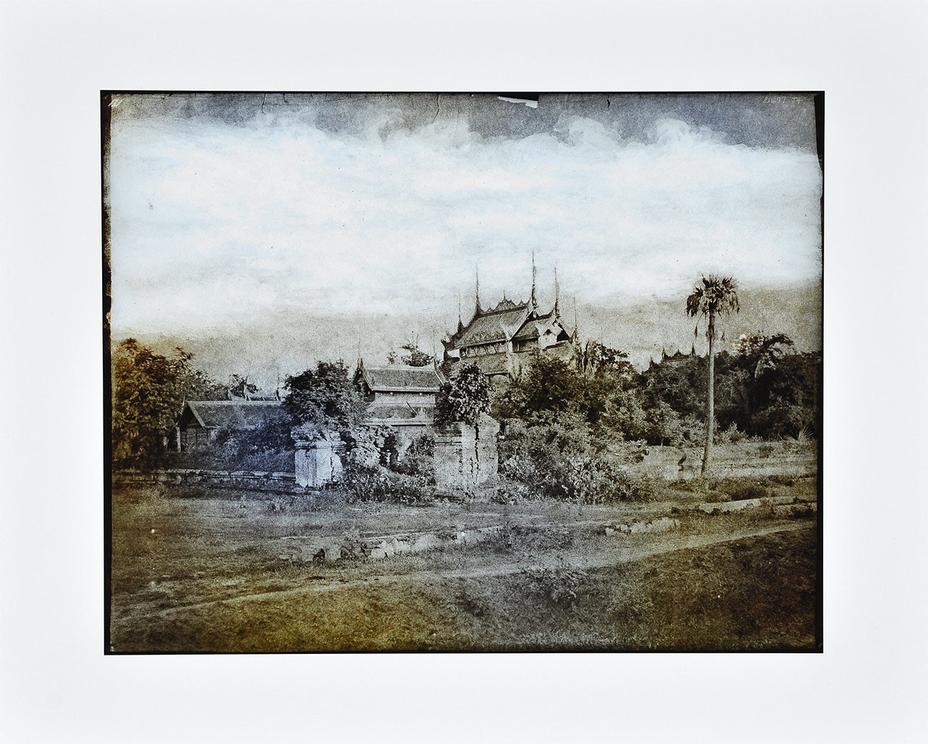 Ruff, Thomas | Tripe 09, 2018 — available on Composition Gallery
