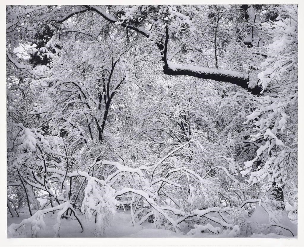 Adams, Ansel | Fresh Snow, 1974 — available on Composition Gallery