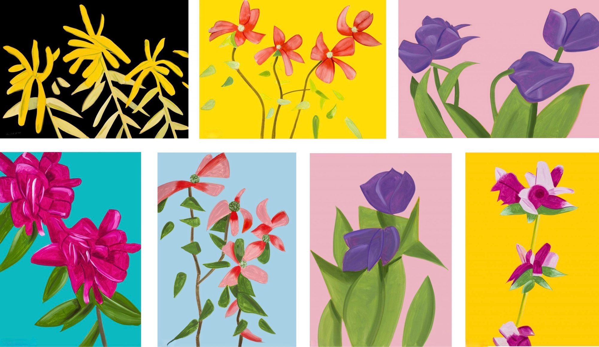 The flowers portfolio (7 works)