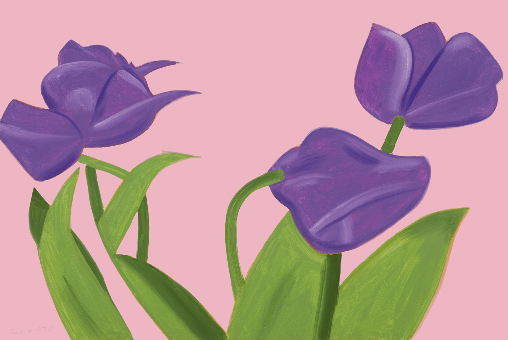 Katz, Alex | Purple Tulips I, 2021 — available on Composition Gallery