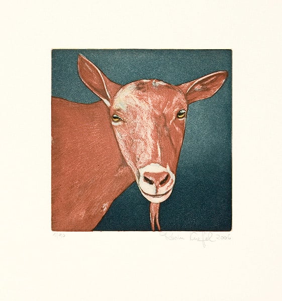 Kneffel, Karin | Tierköpfe - Ziege braun, 2005 — available on Composition Gallery