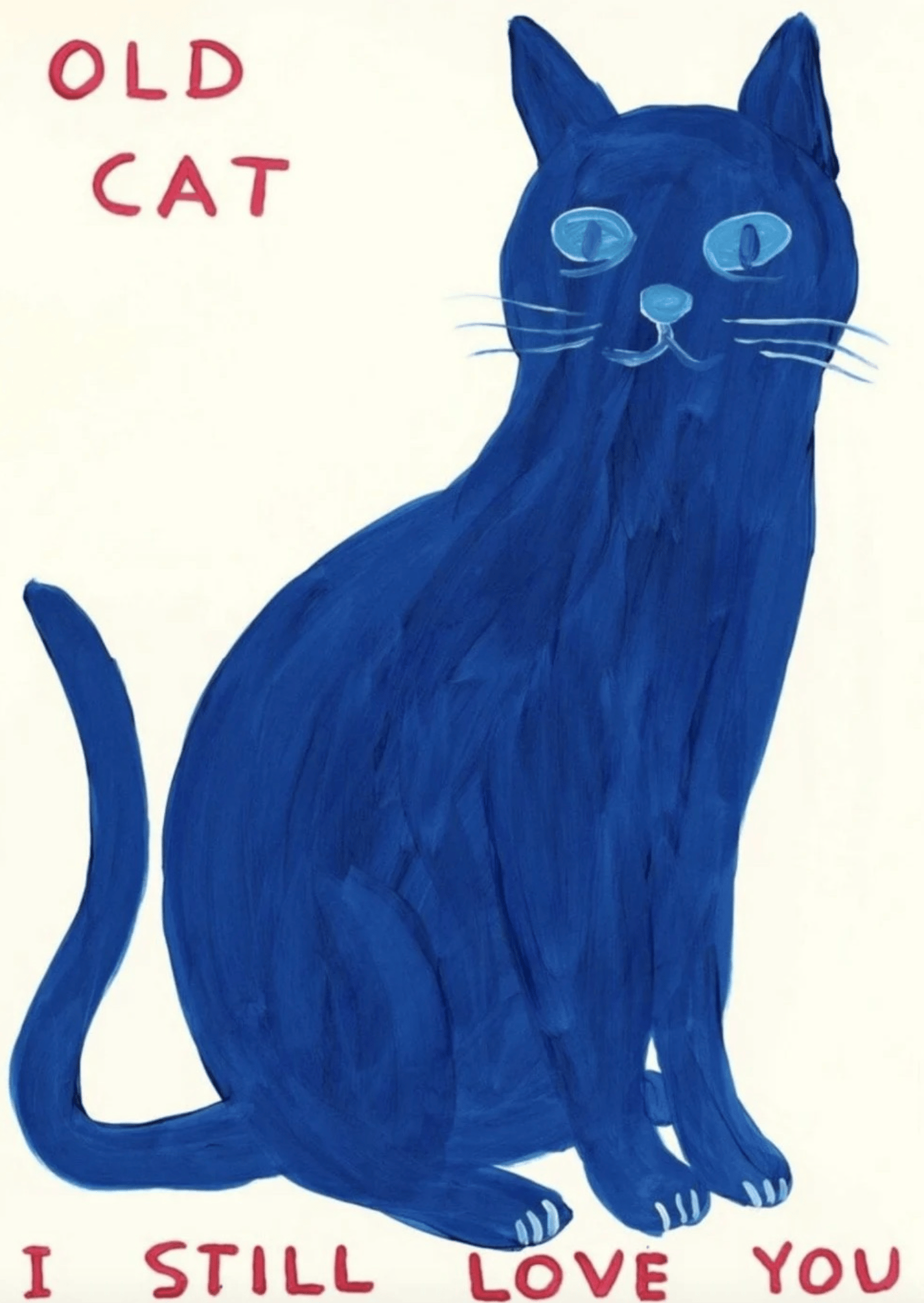Shrigley, David | Old Cat, 2022 — available on Composition Gallery