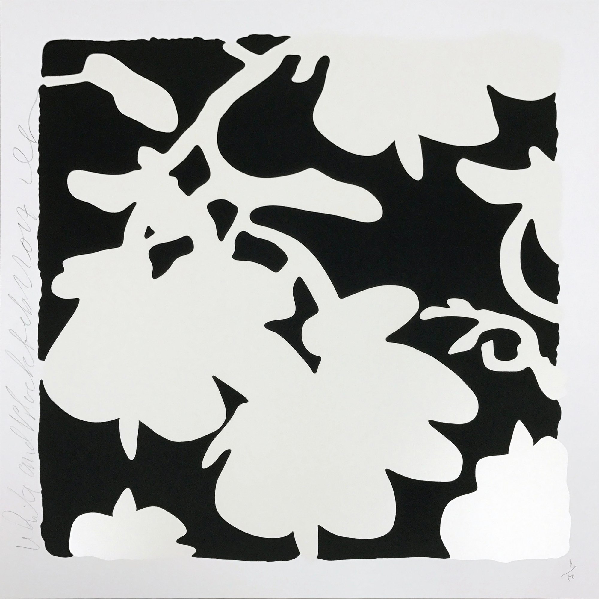 Sultan, Donald | Lantern Flowers - White/Black background, 2017 — available on Composition Gallery