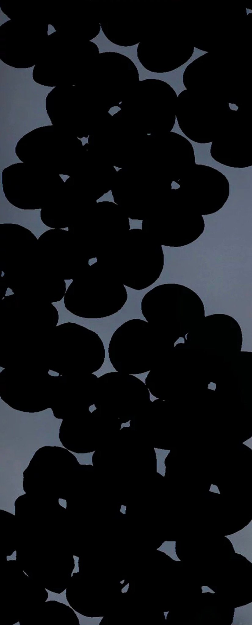Sultan, Donald | Wallflowers (black on grey), 2018 — available on Composition Gallery