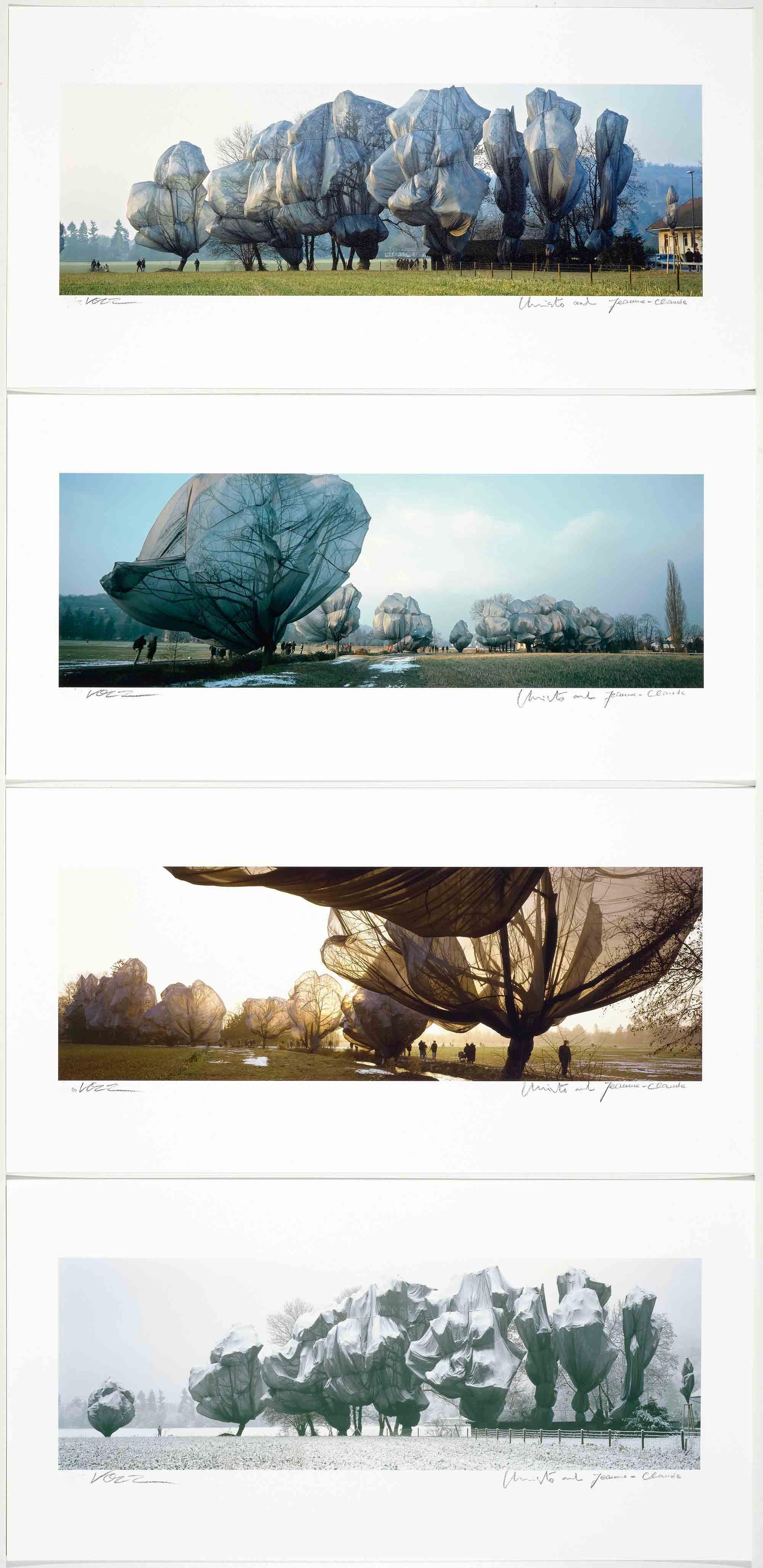 Wrapped Trees Portfolio