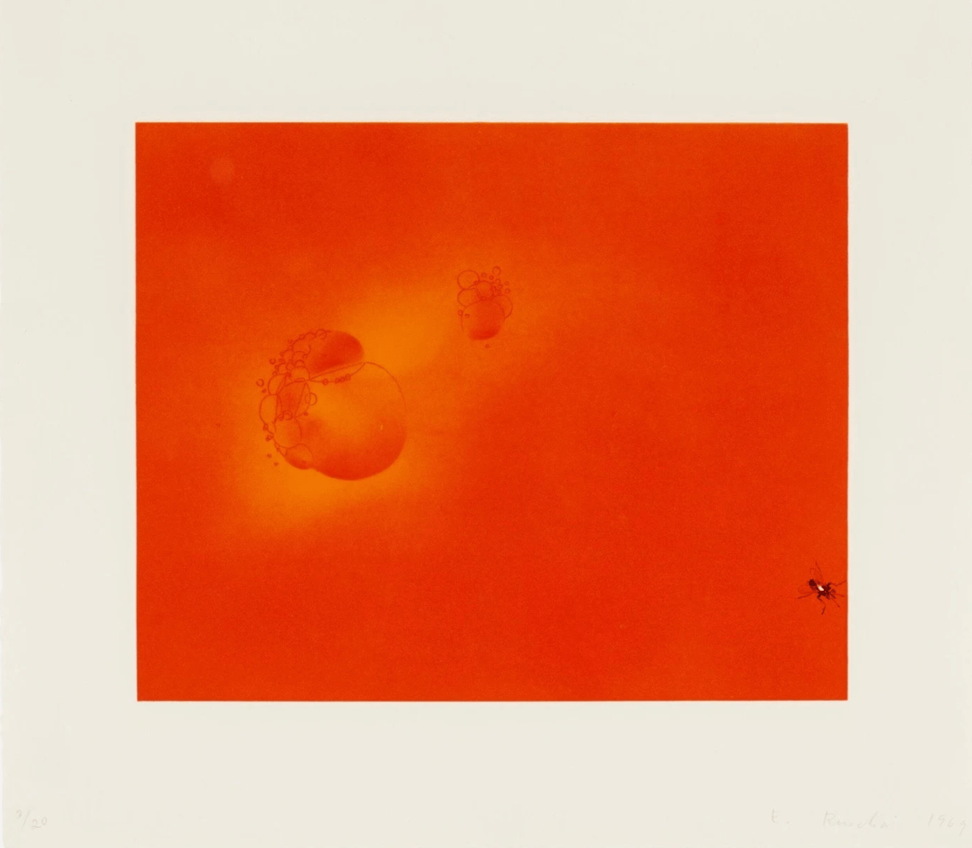 Ruscha, Ed | Boiling Blood, Fly, 1969 — available on Composition Gallery