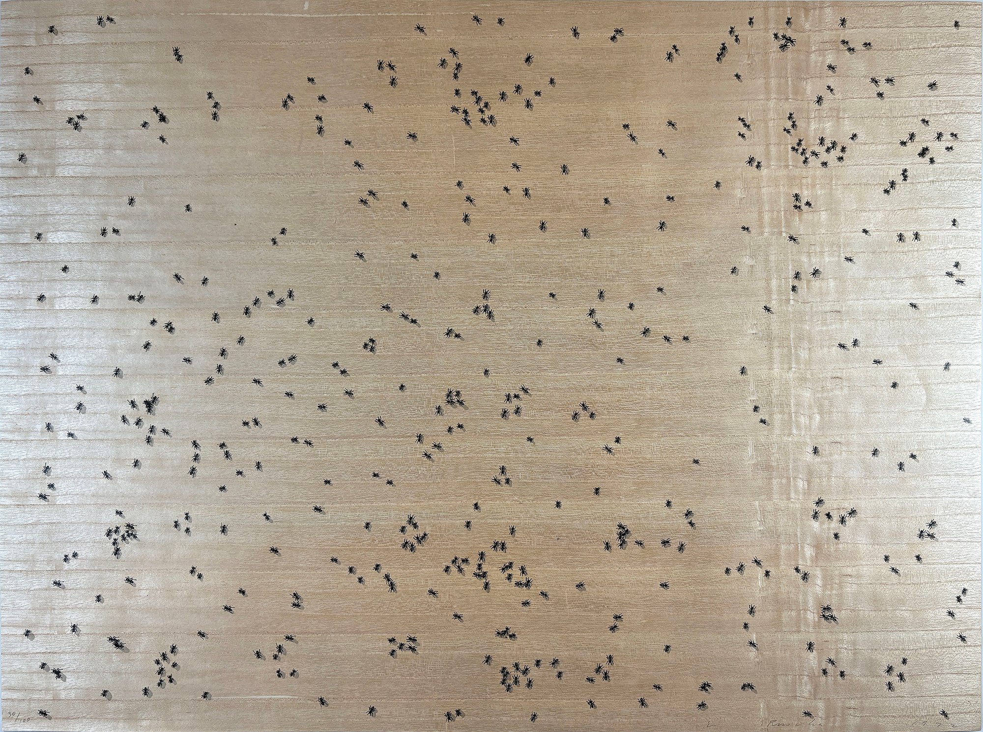 Ruscha, Ed | Black Ants from the Insects Portfolio, 1972 — available on Composition Gallery