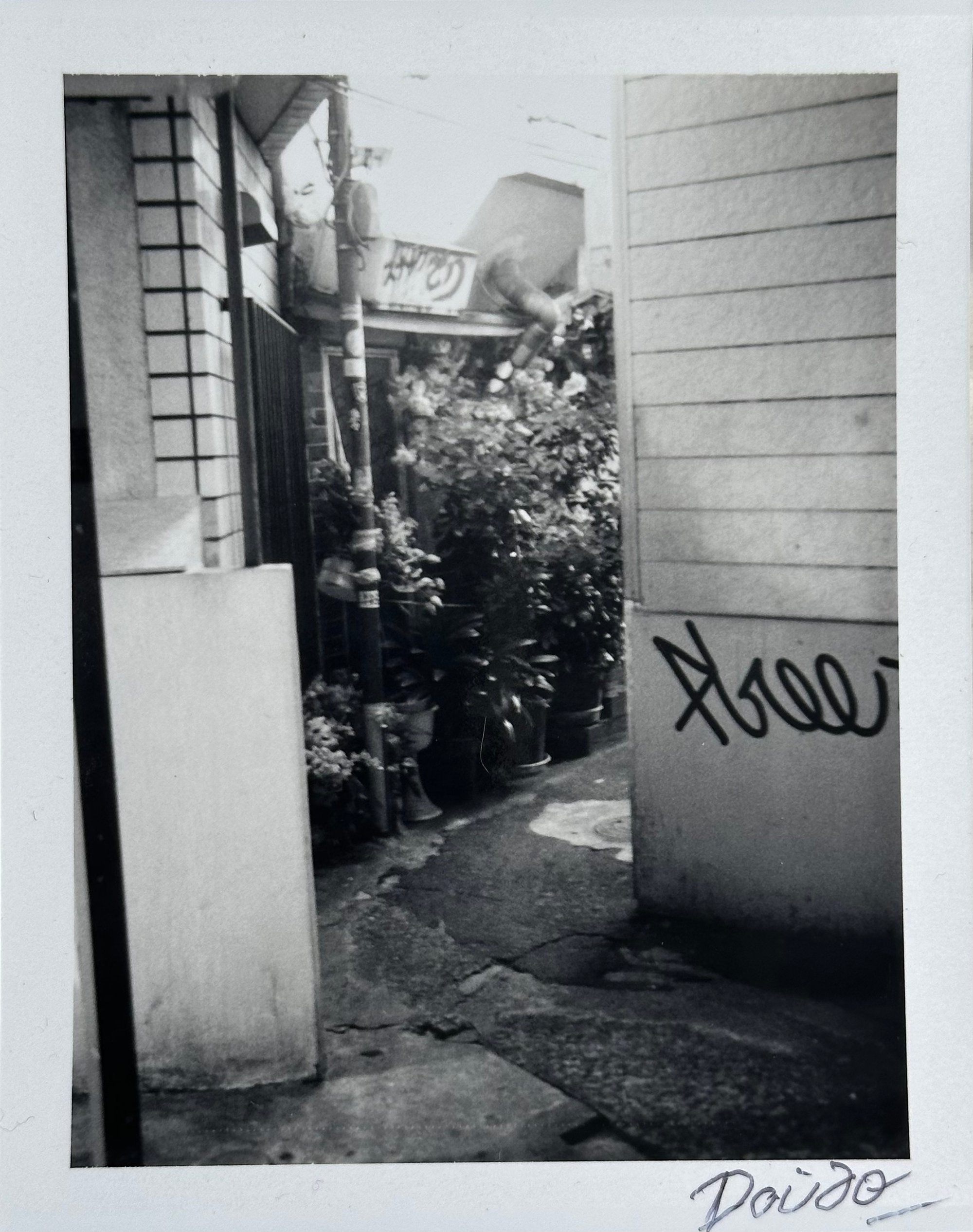 Moriyama, Daido | Passage 4, 1998-1999 — available on Composition Gallery
