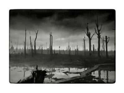 Loss - Landscape