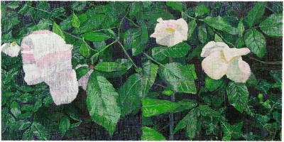 White Roses