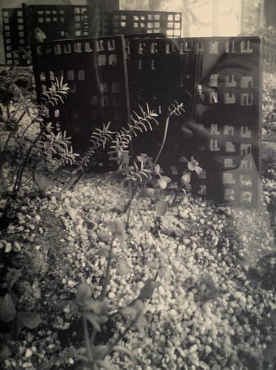 Aquarium II, 2