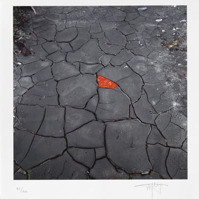 Red Leaves On Cracked Earth