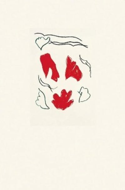 Carmi-Matisse 