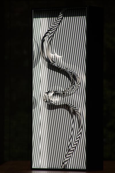 Formes En Contorsions 