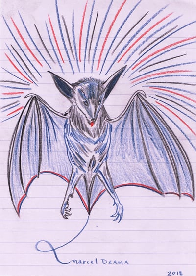 A Blind Man’s Scrap Book (Radiant Bat)