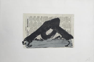 Suite 63 X 90