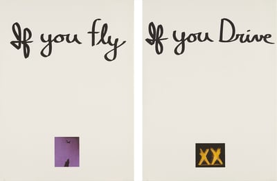If You Fly, If You Drive (diptych)