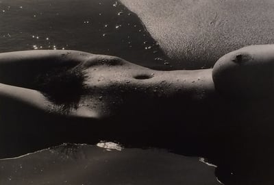 Nyu de la Mer Camargue