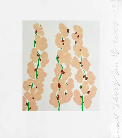 Wall flower 3