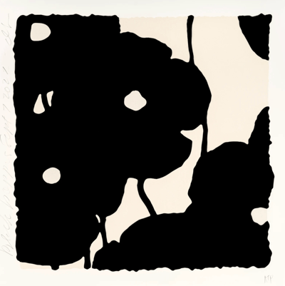 Black Poppies, Sept 7, 2022