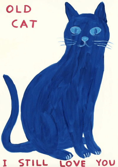 Old Cat
