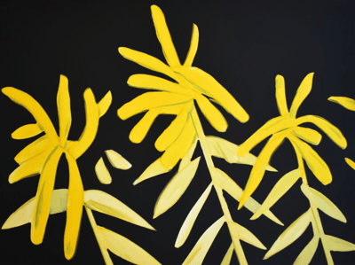 Goldenrod from Flowers Portfolio