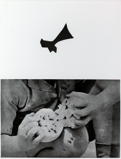 Seeds