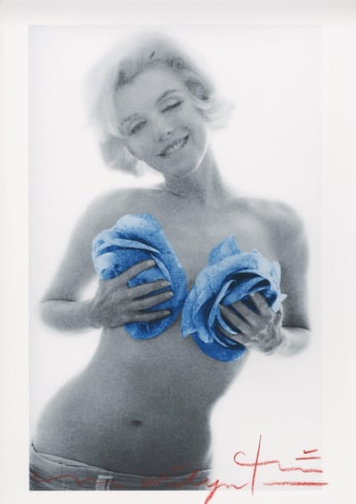 Marilyn Monroe blue wink roses