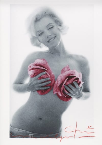 Marilyn Monroe pink wink roses