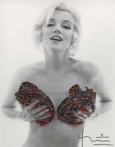 Marilyn Red Classic Charcoal Roses