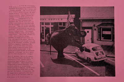 Untitled (Elephant And Real Estate)