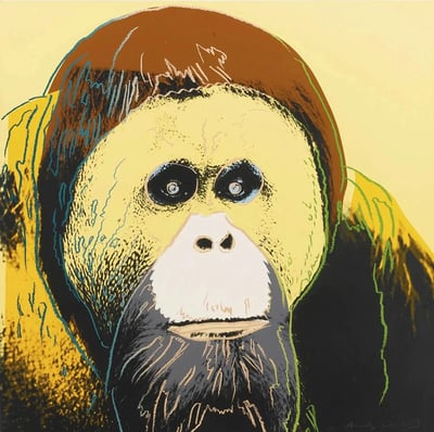 Orangutan (F. & S. II. 299)