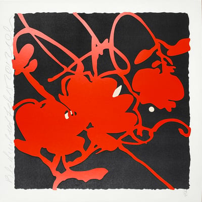Black And Red - Lantern Flowers