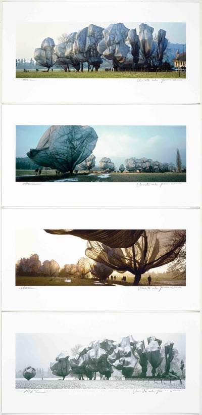 Wrapped Trees Portfolio