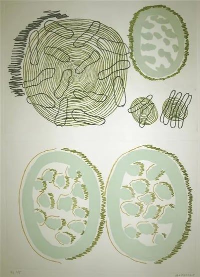 Untitled (Organic Codes)