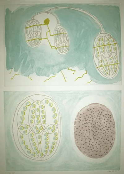 Untitled (Suspended Cells)