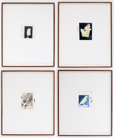 Isabel, Diorama, Scramble, Twenty Seventeen