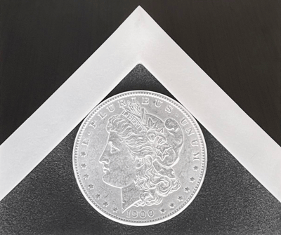 Silver Dollar