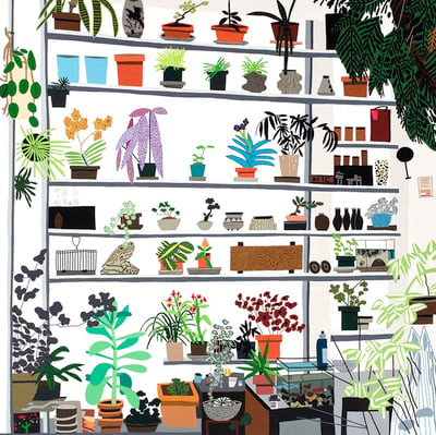 Large Shelf Still Life
