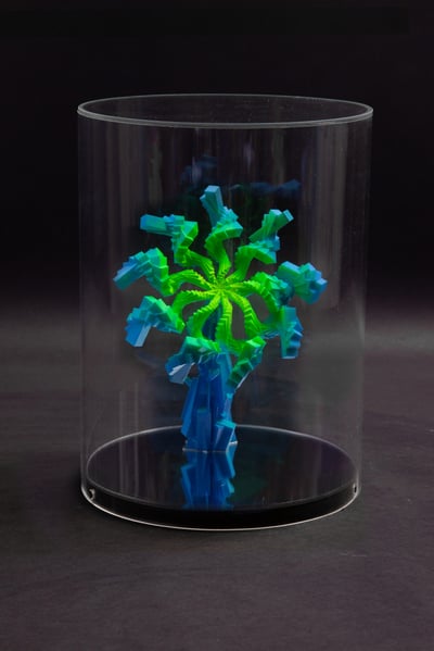 La Cannabis Sativa D’Edgar Poe Bleu Vert