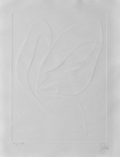 Untitled 2, From The White Portfolio
