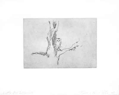 Little Owl (Self Portrait)