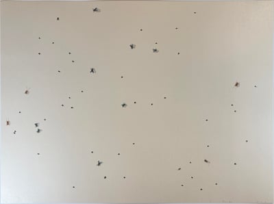 Pearl Dust Combination From The Insects Portfolio