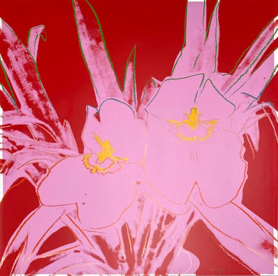 Orchids