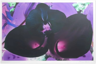 Marc Quinn – At the Far Edges of the Universe 6, 2010 – Impression pigmentaire